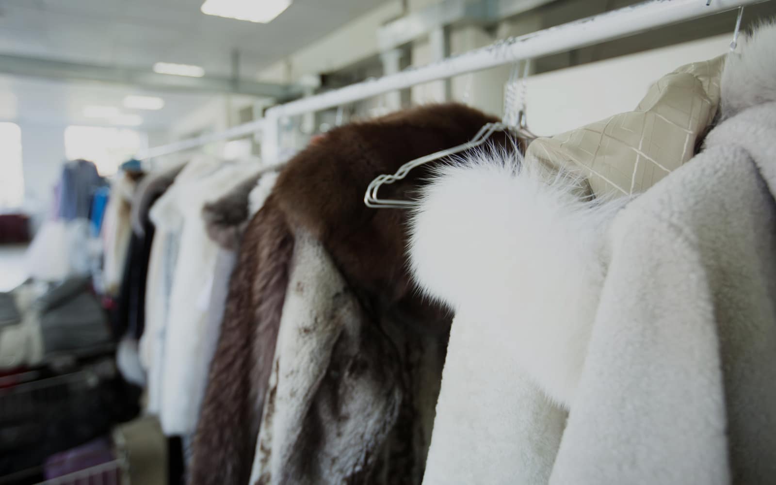 Dry Cleaning